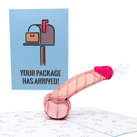 Your Package Has Arrived Inappropriate 3D Pop up D - White